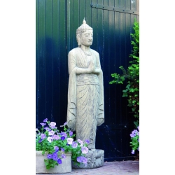 Standing Buddah Statue. 