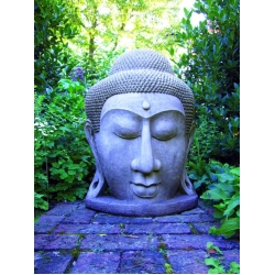 Grand Buddah Head